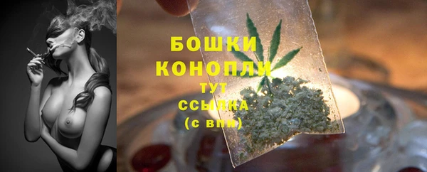 спиды Бронницы