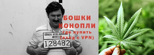 спиды Бронницы