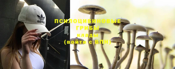соль курить ск Бугульма