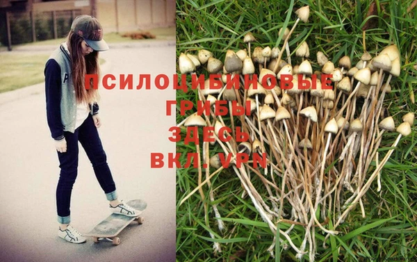 соль курить ск Бугульма