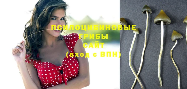 спиды Бронницы